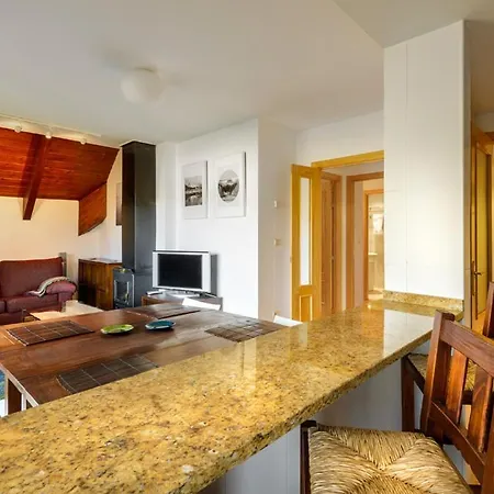 Saliecho 3 Apartmán Formigal